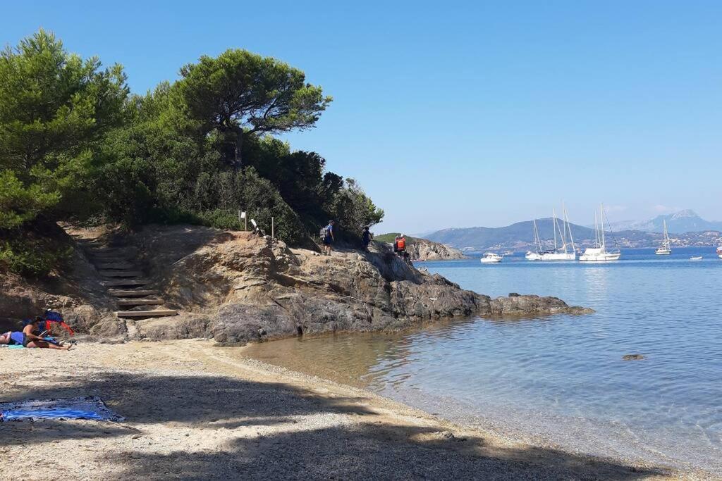 Neuf A 150m De La * Hyeres